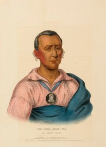 WAT-CHE-MON-NE, UN JEFE IOWAY, de Historia de las Tribus Indias de Norteamérica de Charles Bird King