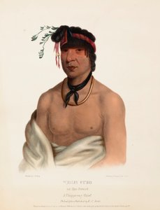 WESH-CUBB. A CHIPPEWAY CHIEF, de History of the Indian Tribes of North America. de Charles Bird King
