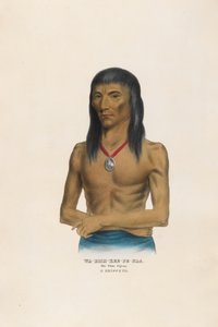 de Charles Bird King