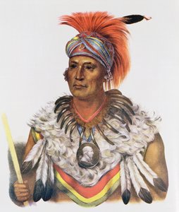 Wapella o el Príncipe Jefe de los Zorros, 1837, ilustración de 
