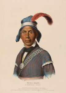 YAHA-HAJO A SEMINOLE CHIEF, de History of the Indian Tribes of North America de Charles Bird King