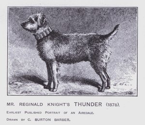 El trueno del Sr. Reginald Knight de Charles Burton (after) Barber