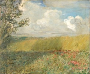 El campo de maíz