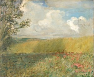 El campo de maíz