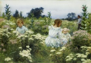 Entre las Flores Silvestres