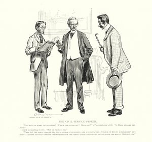 El sistema de la función pública (lito)