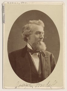 Retrato de Joseph Medill, c.1876 de Charles Delevan Mosher