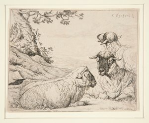 tres ovejas de Charles Echard