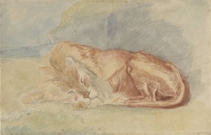 El león dormido