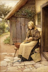 Un amigo de plumas finas de Charles Edward Wilson