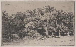 Un rincón del bosque de Fontainebleau de Charles Emile Jacque