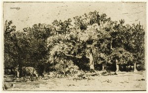 Una parte del bosque de Fontainebleau de Charles Emile Jacque