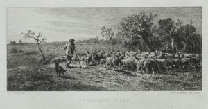 Llegando al campo