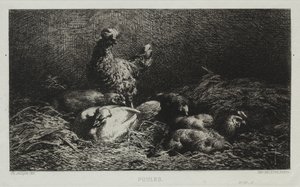 Gallinas de Charles Emile Jacque