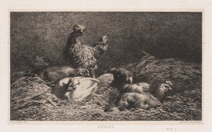Pollos Poutes, 1867 de Charles Emile Jacque
