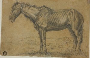 Caballo demacrado (anverso); Vista frontal de un caballo (reverso) de Charles Emile Jacque