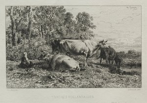 Vacas holandesas