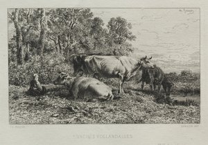 Vacas de Holanda
