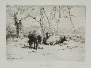 Ovejas, 1868