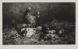 Los pollos de Charles Emile Jacque
