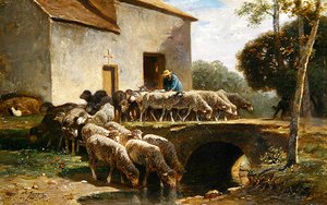 El rebaño saliendo