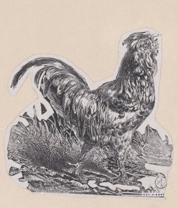 El gallo, ca. 1853 de Charles Emile Jacque