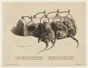 La ratonera de Charles Emile Jacque