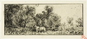 Dos caballos en un bosque