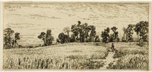Campo de trigo de Charles Emile Jacque