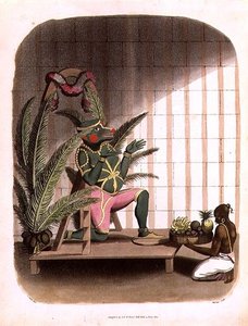 Hanuman, lámina 31 de 