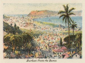 Sudáfrica: Durban desde el Berea (litografía en color)