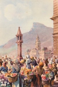Sudáfrica: Flower Sellers, Capetown (litografía en color)