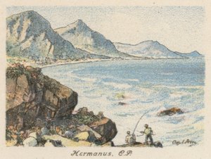 Sudáfrica: Hermanus, CP (litografía en color)