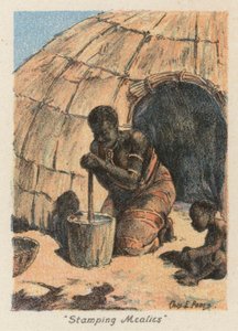 Sudáfrica: "Stamping Mealies" (litografía en color)