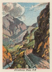 Sudáfrica: Tradouw Pass, CP (litografía en color) de Charles Ernest Peers