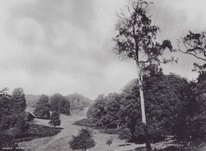 Parque Knole de Charles Essenhigh Corke