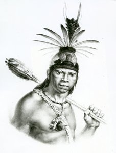 Jefe Camacan Mongoyo de 