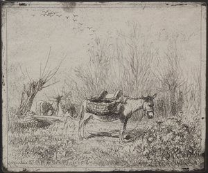 Un burro en el campo, impresión original 1862, impresa en 1921