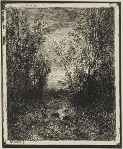 Arroyo en el claro