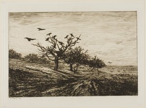 Cuervos en un árbol de Charles Francois Daubigny