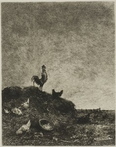 Amanecer (El canto del gallo)
