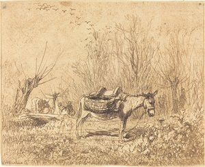 Burro en un campo