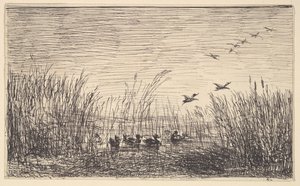 Patos en los pantanos, [1862], reimpreso 1921