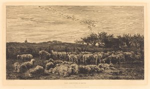 Gran redil de ovejas de Charles Francois Daubigny