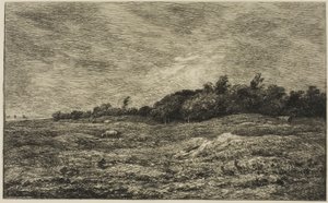 El Pré des Graves en Villerville (Calvados) de Charles Francois Daubigny