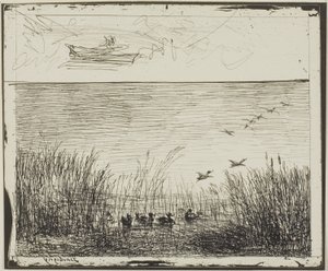 Pantano con patos de Charles Francois Daubigny