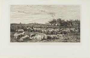 Prado con ovejas de Charles Francois Daubigny