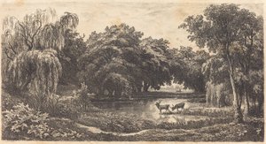 Estanque con Ciervos de Charles Francois Daubigny