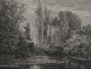 Ciervos en el borde del agua de Charles Francois Daubigny