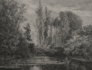 Ciervos en el borde del agua de Charles Francois Daubigny